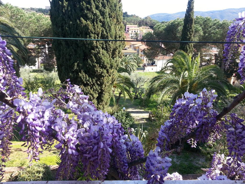Villa San Giuseppe Porto Azzurro Eksteriør bilde