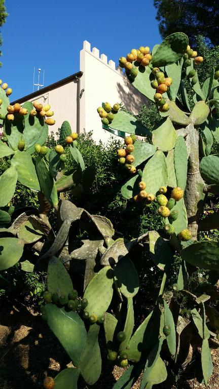 Villa San Giuseppe Porto Azzurro Eksteriør bilde